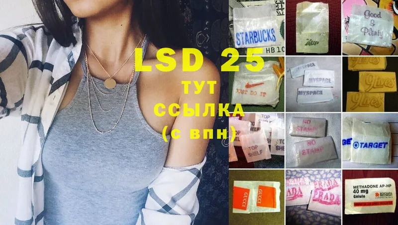 LSD-25 экстази ecstasy  blacksprut зеркало  Жердевка  наркошоп 